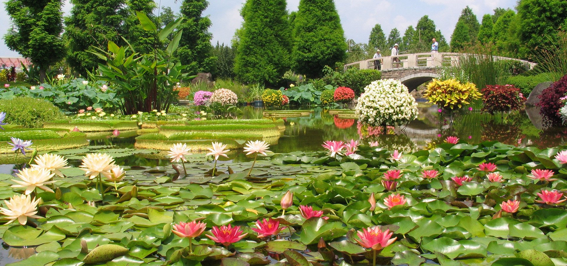 🏞️ 미즈노모리 수생식물공원(구사쓰시리쓰 스이세이쇼쿠부쓰코엔 미즈노모리) 이미지 12